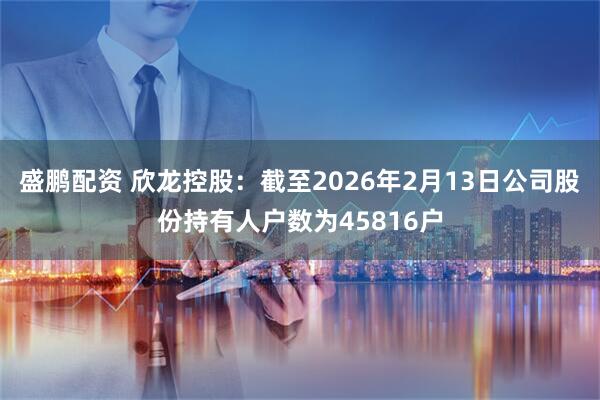 盛鹏配资 欣龙控股：截至2026年2月13日公司股份持有人户数为45816户