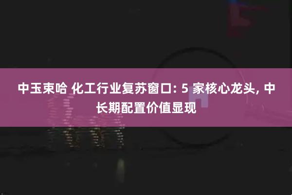 中玉束哈 化工行业复苏窗口: 5 家核心龙头, 中长期配置价值显现