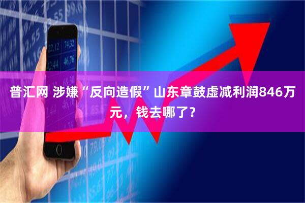 普汇网 涉嫌“反向造假”山东章鼓虚减利润846万元，钱去哪了？