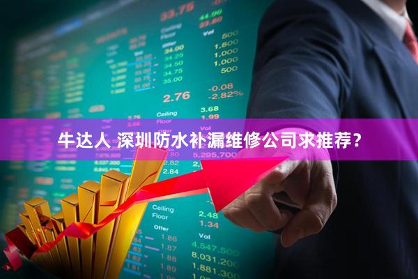 牛达人 深圳防水补漏维修公司求推荐?