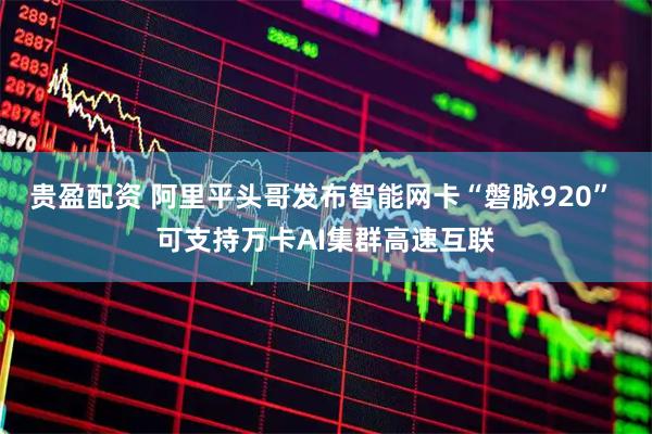 贵盈配资 阿里平头哥发布智能网卡“磐脉920” 可支持万卡AI集群高速互联